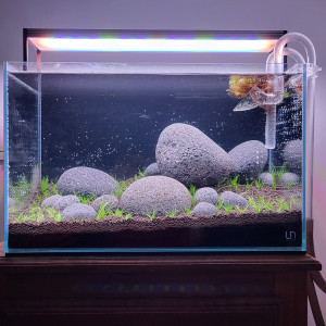 Publication de ElsassRaph