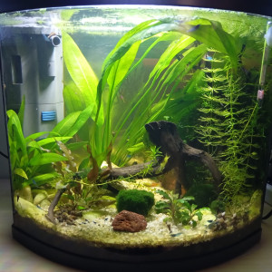 Publication de Jeremydu85