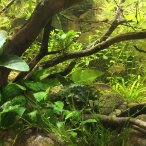 Publication de francky86