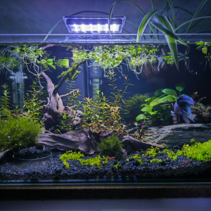 Publication de Jojo63