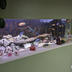 Publication de AquariumFL