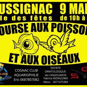 Bourse annuelle