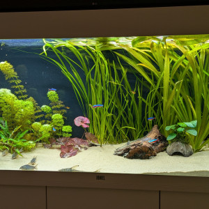 Rio 240 - TV