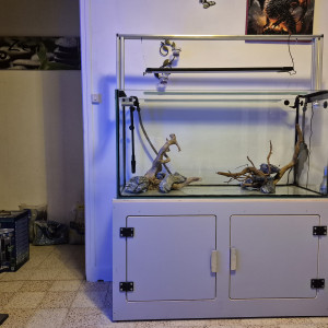 Publication de Santanaman76