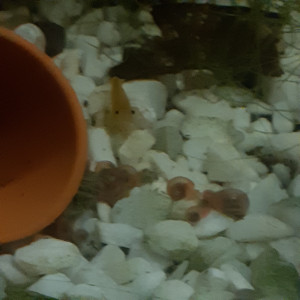 Publication de roland59