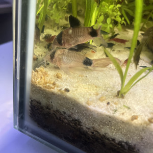 Publication de benjamin95