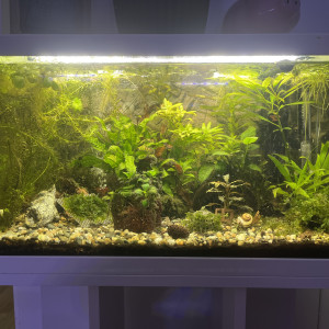 Publication de benjamin95