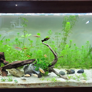 Publication de Stephy1407