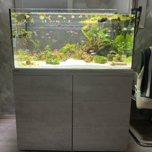 EHEIM Proxima 250