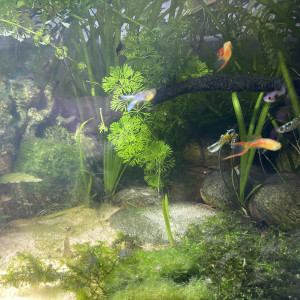 Aqua Séjour