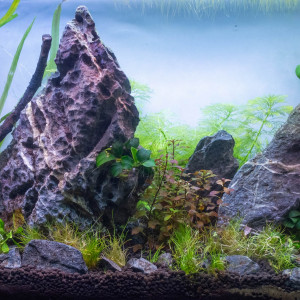 Publication de bobber58