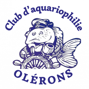 Club_aquariophilie_OLERONS