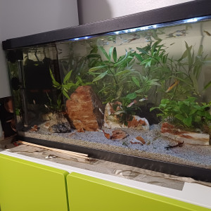 Aquarium 60L