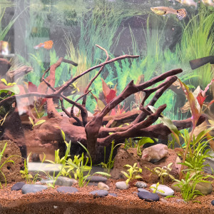 60L
