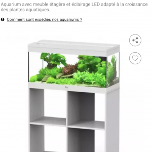 Publication de Mediamazonie
