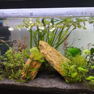 Tropicuarium55
