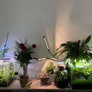 Publication de Alex69