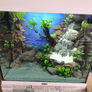 Juwel 120 l