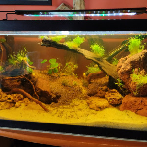 Aquascap