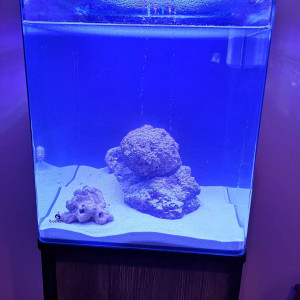 Aquarium Marin