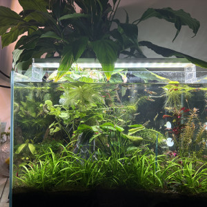 Publication de Alex69