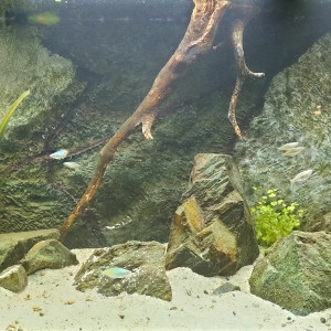 Indonesie oceanie