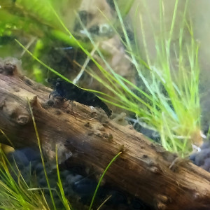 Publication de Elisa30