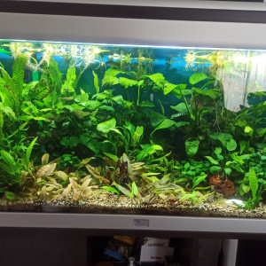 180L