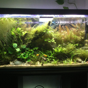 Publication de francky86