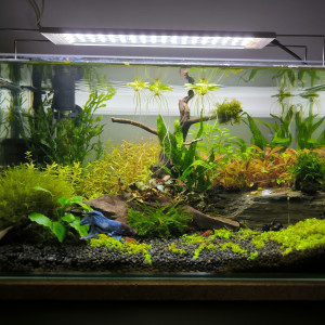 Publication de Jojo63