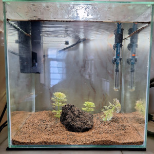 Publication de MyssLily