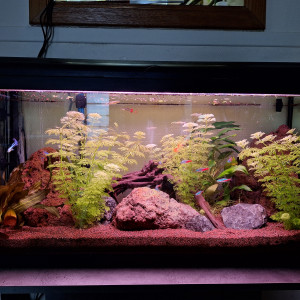 Aquarium 90L