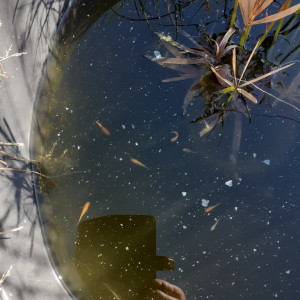 Publication de Allan78