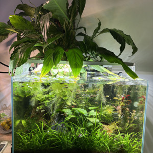 Publication de Alex69