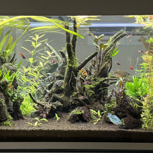 Eheim  Incpiria 430