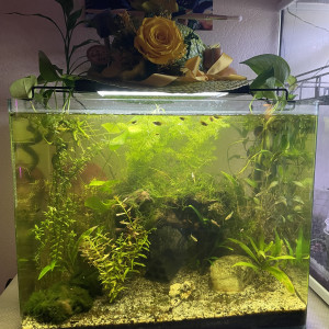 Low tech