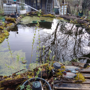 Publication de Pdenton