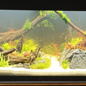 Publication de flair1800