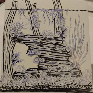 Publication de lolo95