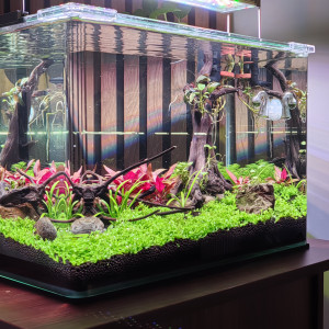 Publication de Olivoliv