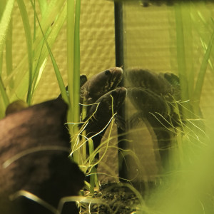 Publication de Guigui-tkt