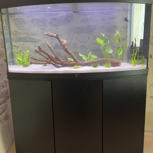Juwel visio 260L