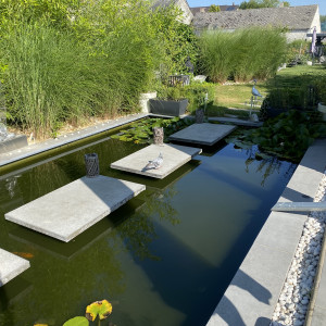 À vendre lot de koi