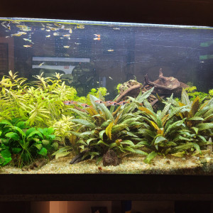 Le 200 litres