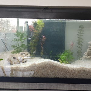 Publication de SanTi