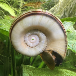 Publication de Alex69