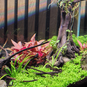 Publication de Olivoliv