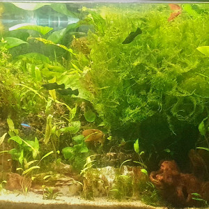 240 l