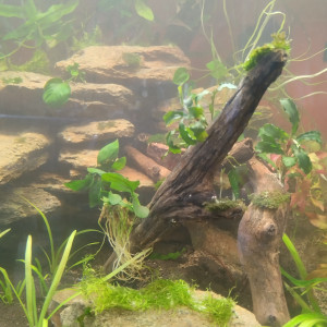 Publication de lolo95