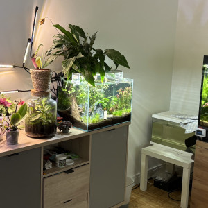 Publication de Alex69